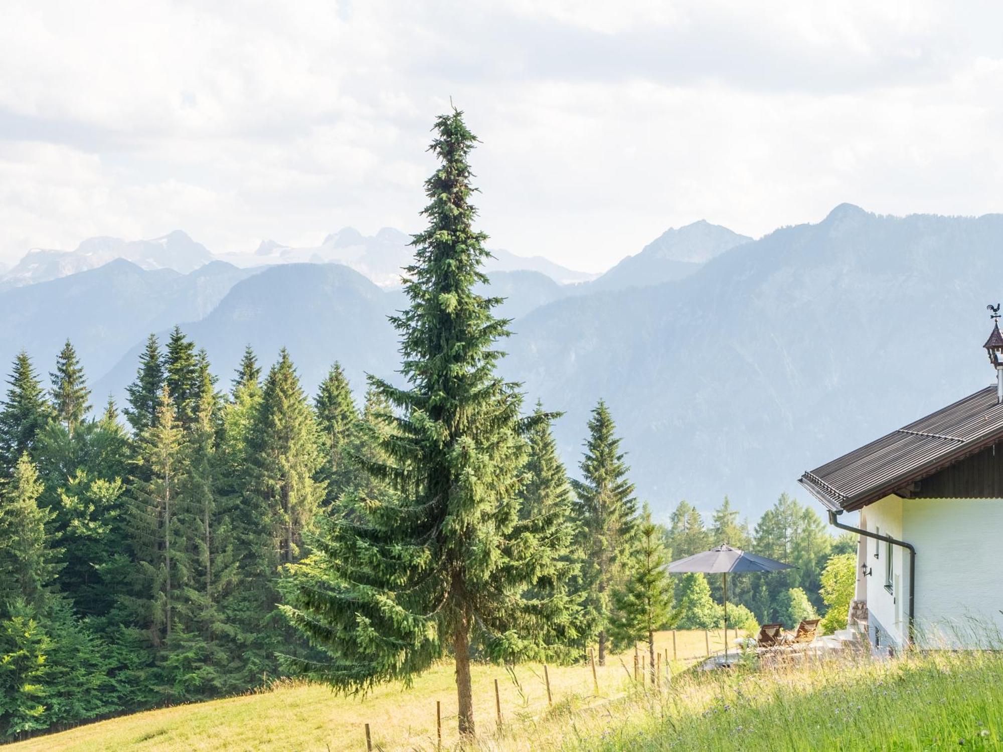 Strickerl Villa Bad Goisern Dış mekan fotoğraf